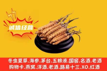 唐山回收冬虫夏草